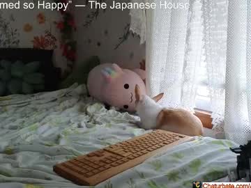 aliceriverscam - Live Nude Girls - Chaturbate Cams