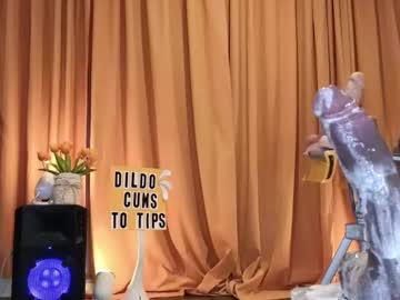 Recommended: bunny_delight