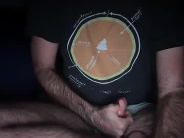 Indiscriminator, 37 years old, Tip 'em if you got 'em // Goal: jerk off & cum [957 tokens left] // #new #straight #uncut #bald #fit, webcam photo