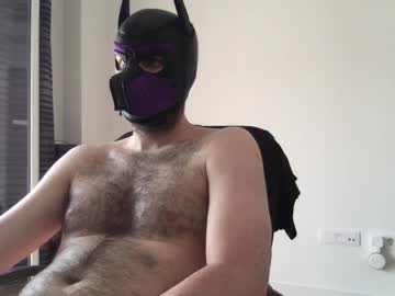 Live gay cam model Kaywolf8931 yrs streaming now in HD
