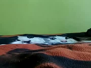Lubiecie154, Lubiecie154's room #young #teen #skinny #, webcam photo