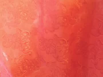 lupita_lora - Live Performer