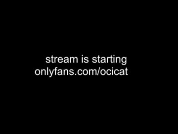 Recommended: ocicat