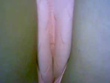 steff_kutter - Live EU Performer