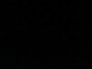 sweet_t33m's Profile Image
